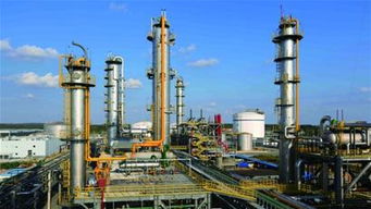 引領(lǐng)綠色化工新未來(lái)