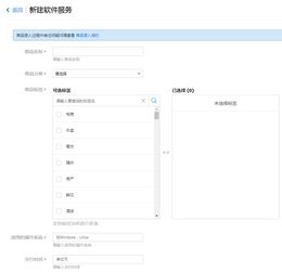 軟件服務(wù)與軟件開發(fā) 創(chuàng)新驅(qū)動(dòng)下的雙核引擎